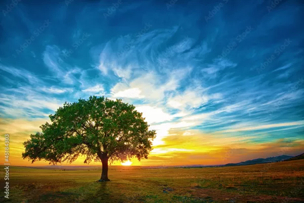 How to Make Time for Things That Matter?