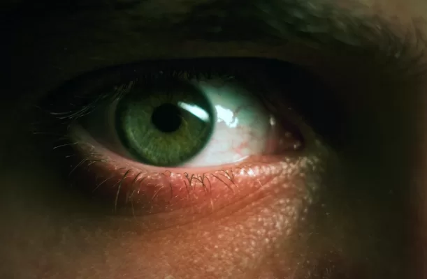Exploring the Significance of Green Eyes through Bio-Cultural Perspectives