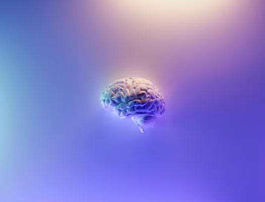 Mindset Mastery: How to Train Your Brain for Success