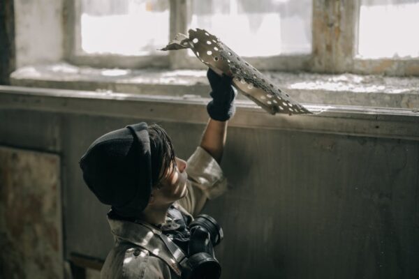 Finding the Perfect Balance: Exploring the Goldilocks Paradox