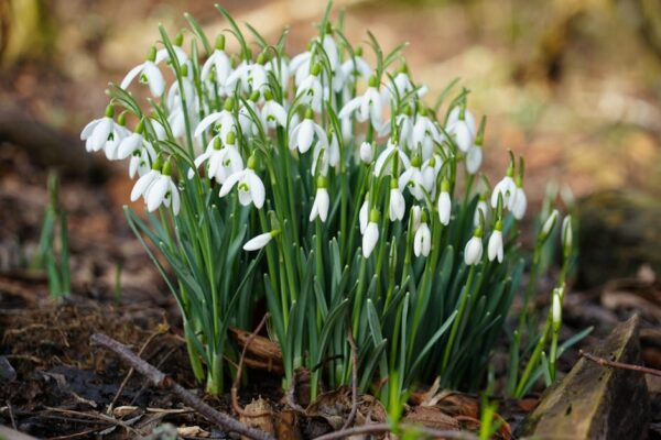 Avoiding Common Entrepreneurial Mistakes Through Coaching