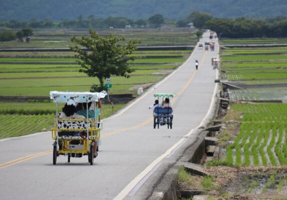 Knowing When to Pivot: Assessing Your Career Direction After a Setback