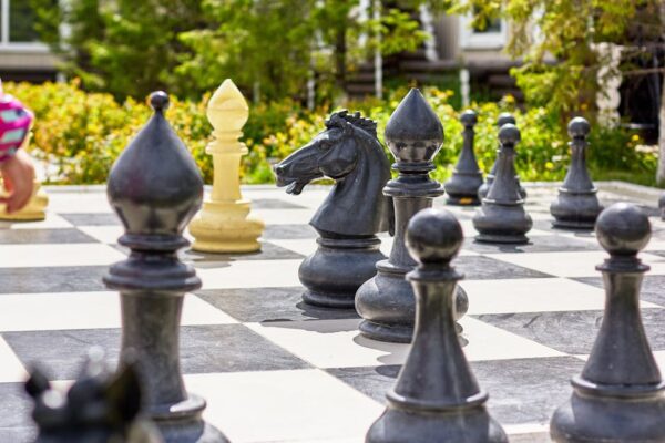 Outsmarting Rivals: Strategies to Succeed in Seasonal Merchandising Competition