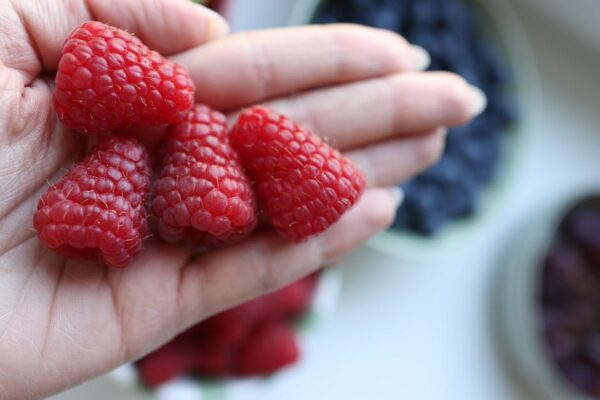 Leveraging Food & Beverage Experience to Launch Your Food Writing Career