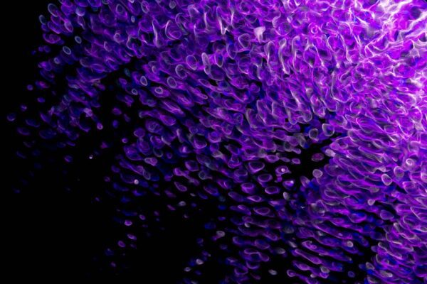 Mastering the Dynamic Digital Landscape: A Guide for Executives