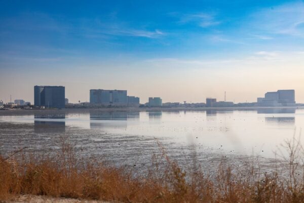 Mastering Complex Challenges in Hospitality Operations