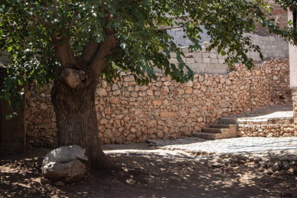 Pathway to Leadership: Essential Steps for Advancing in Education