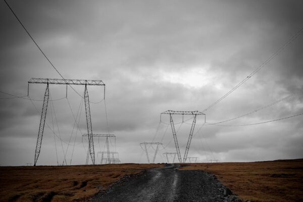 Navigating the Tension Between User Preferences and Industry Trends in Graphics