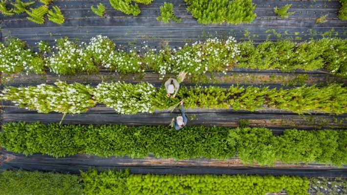 Overcoming GPU Rendering Challenges in a Remote Work Environment