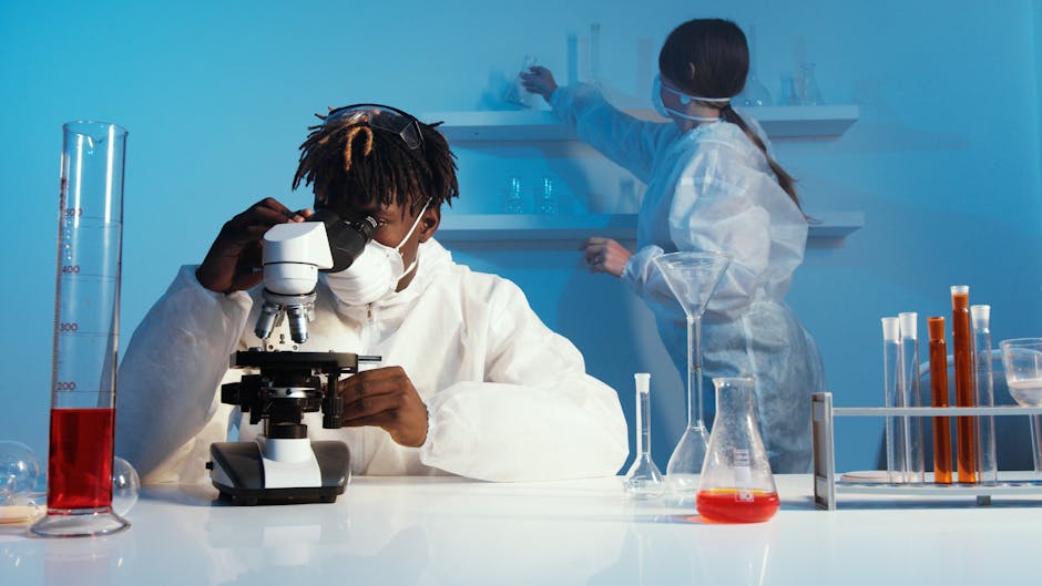 Bridging the Divide: Enhancing Collaboration Between Clinical and IT ...