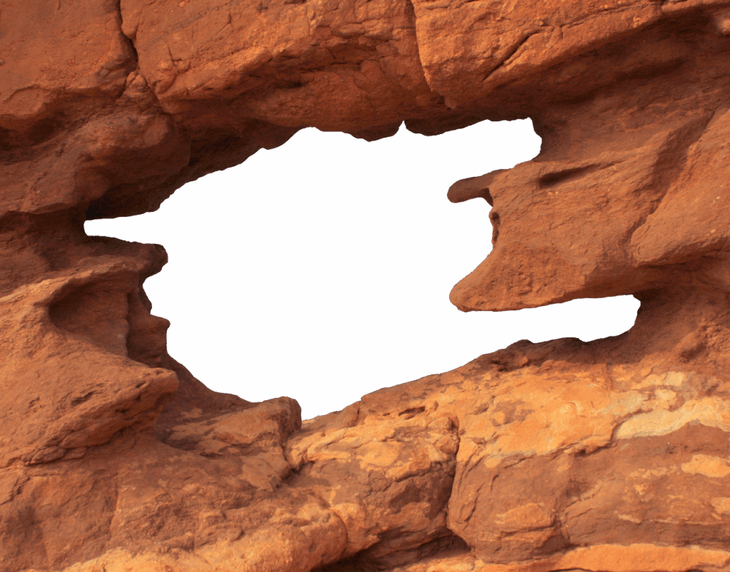 Analyzing Influencer Engagement Through Emotional Insights