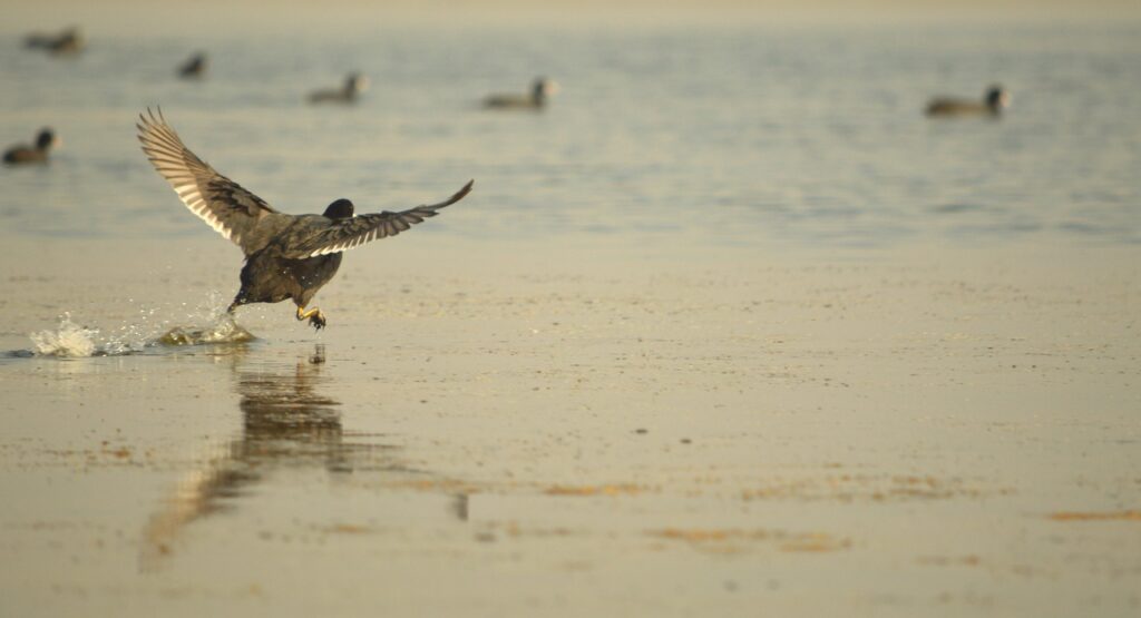 Common Misconceptions About Remote IT Strategy