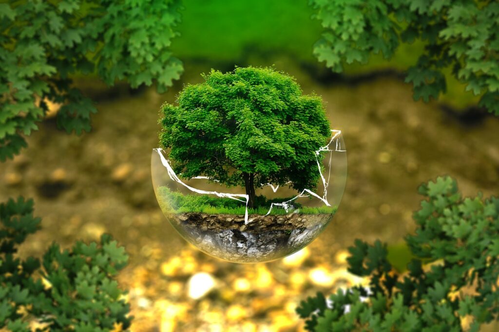 Balancing Environmental Impact and Operational Costs