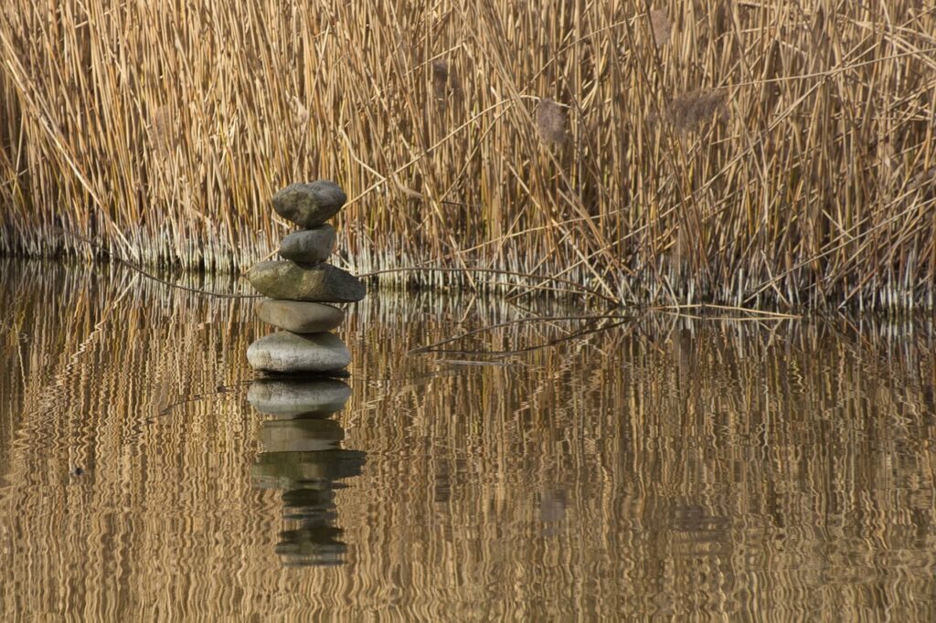 Balancing Academic and Personal Life