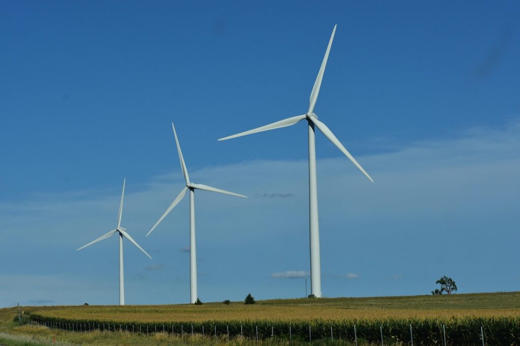 Resource Allocation: Balancing Innovation and Operational Needs
