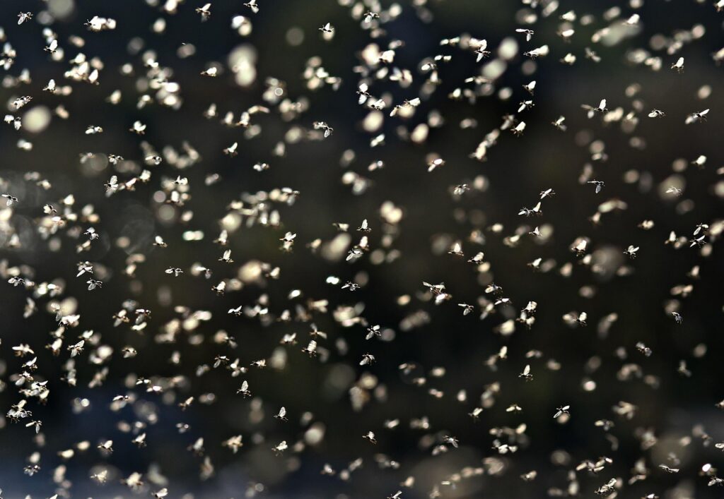 Demonstrating ROI: The Financial Benefits of Animation Demonstrating ROI: The Financial Benefits of Animation