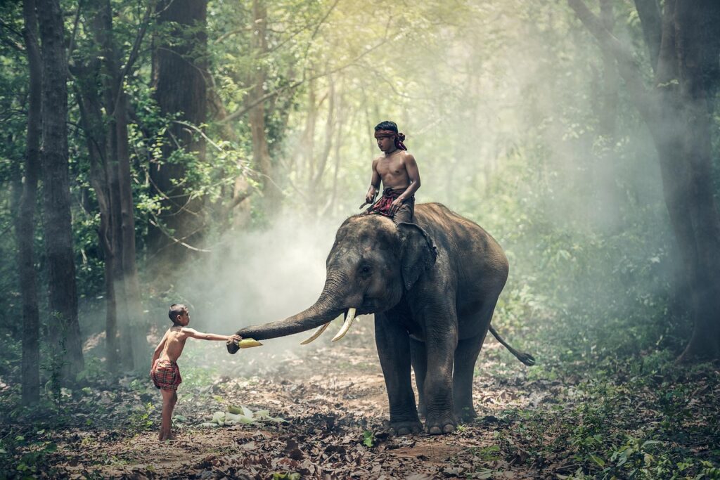 Understanding Cultural Nuances in Client Interactions