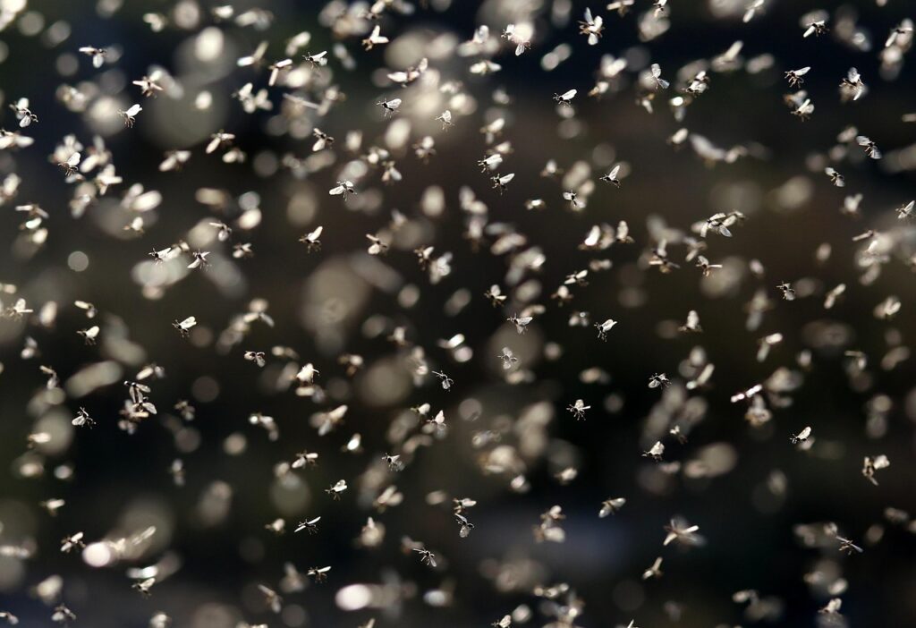 Understanding ROI Objections in Outside Sales