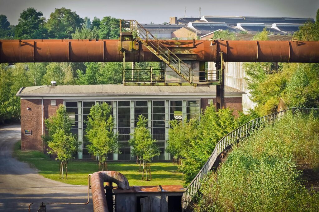 Sustainable Practices for Cost-Effective Restoration Sustainable Practices for Cost-Effective Restoration