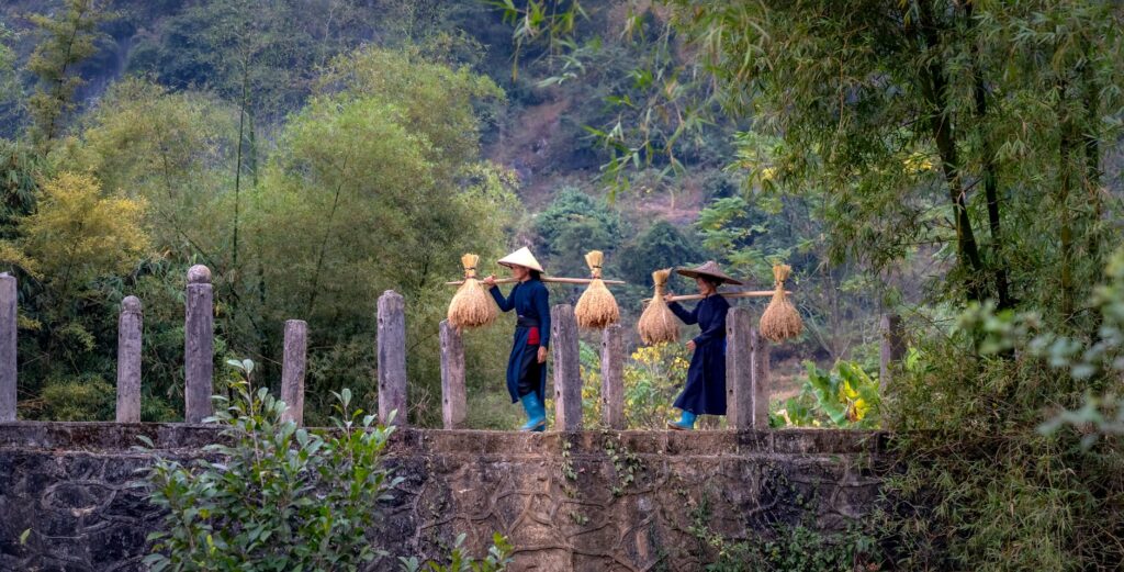 Delegation: Sharing the Workload