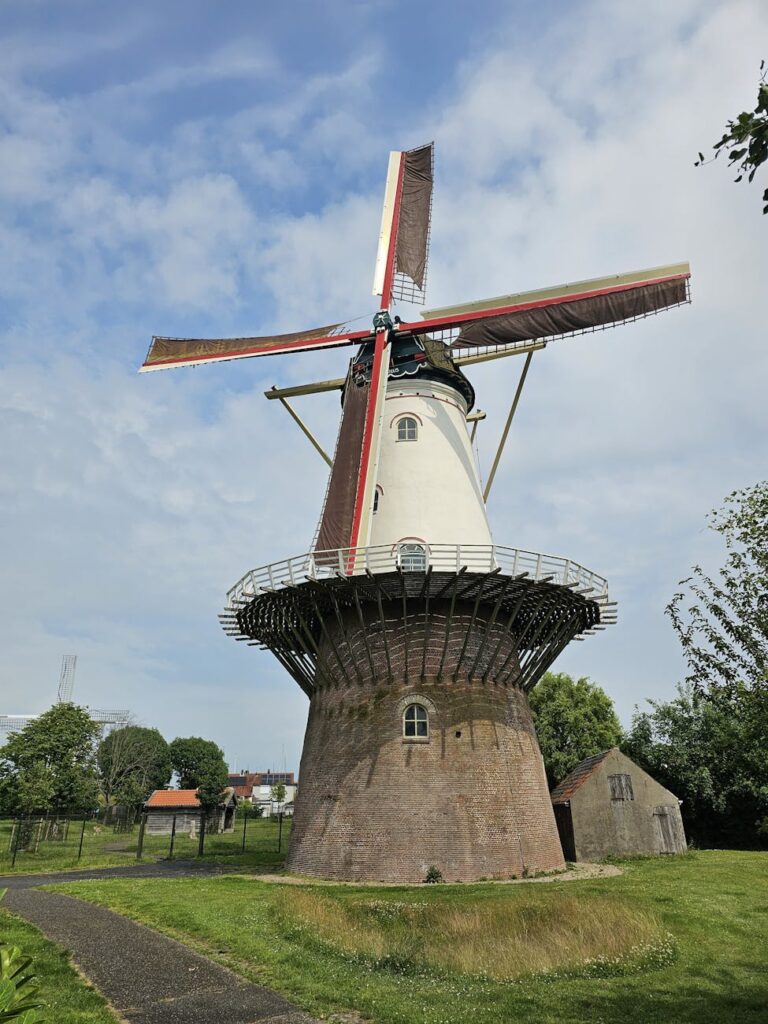 Building Trust Among Stakeholders in Renewable Projects