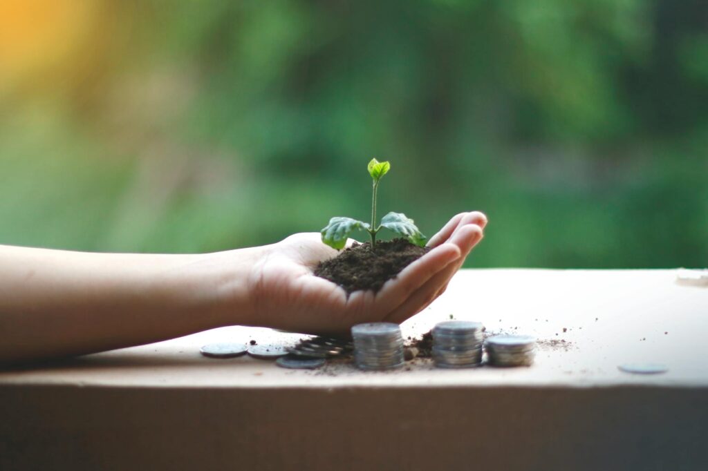 Developing a Financial Plan for Sustainability