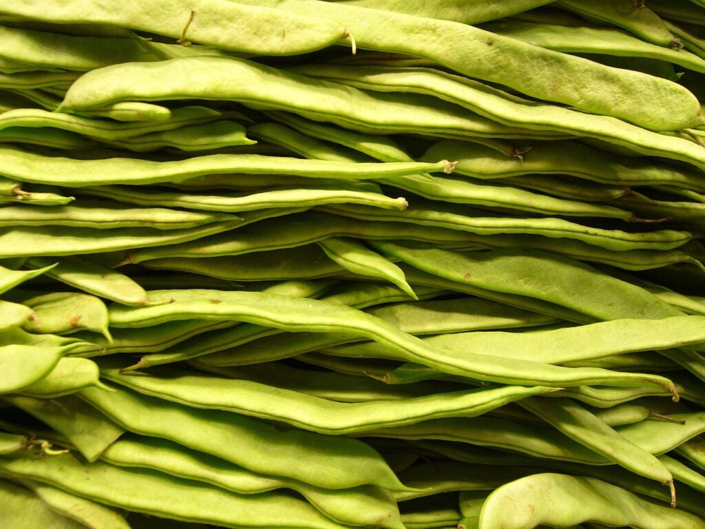 Advances in Plant-Based Food Products Advances in Plant-Based Food Products