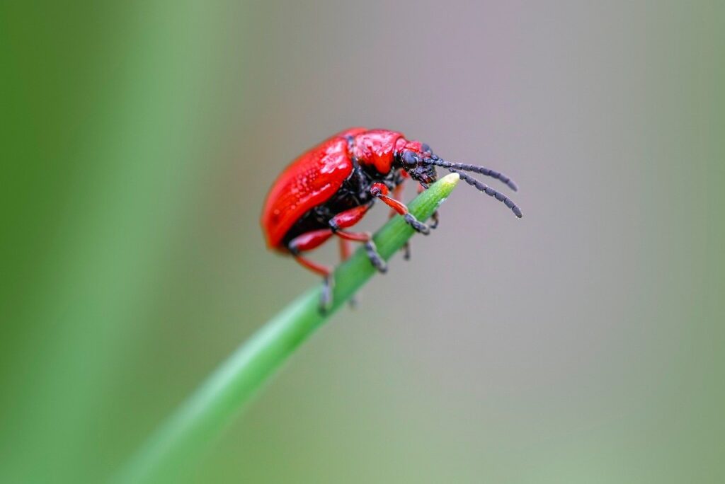 The Role of Follow-Up in Customer Relationship Management