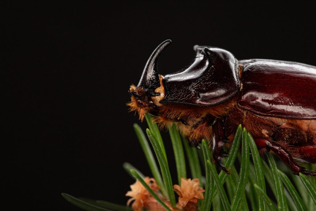 Prioritizing Bug Fixes: The Urgency Matrix