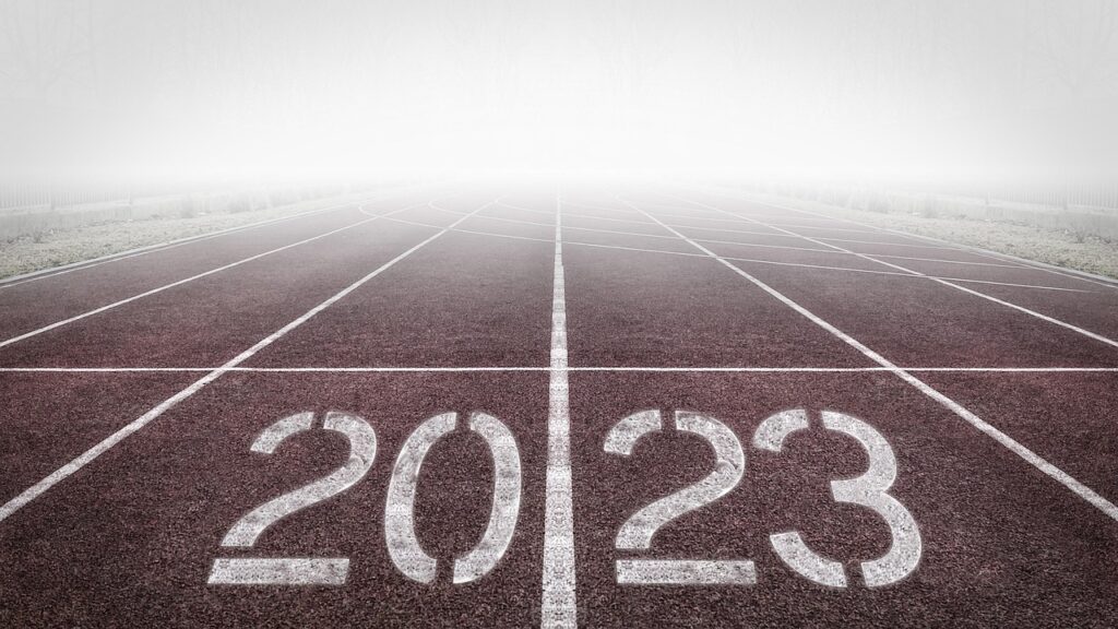 Tracking Progress and Celebrating Milestones