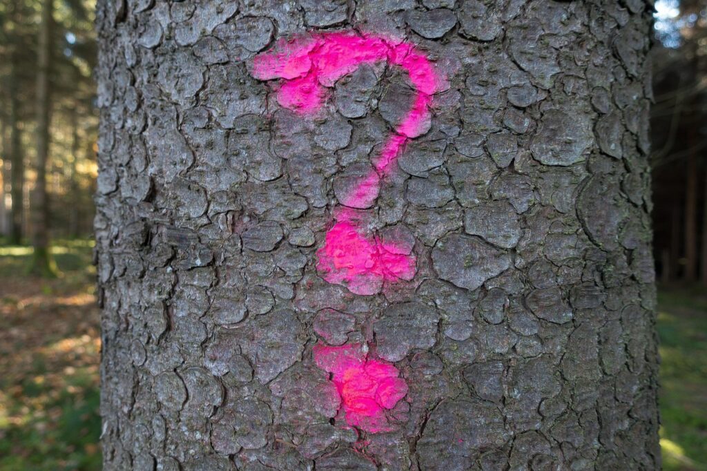 Tone and Nuance: Understanding Verbal Communication