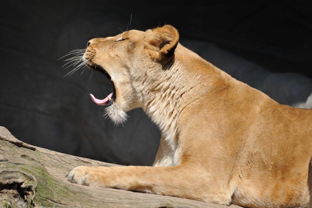 Recognizing Signs of Emotional Fatigue Recognizing Signs of Emotional Fatigue