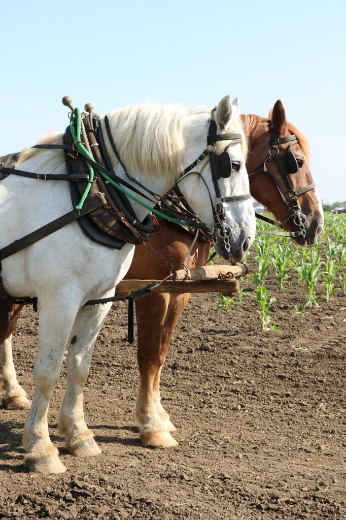 Cultivating a Culture of Open-Mindedness in Teams