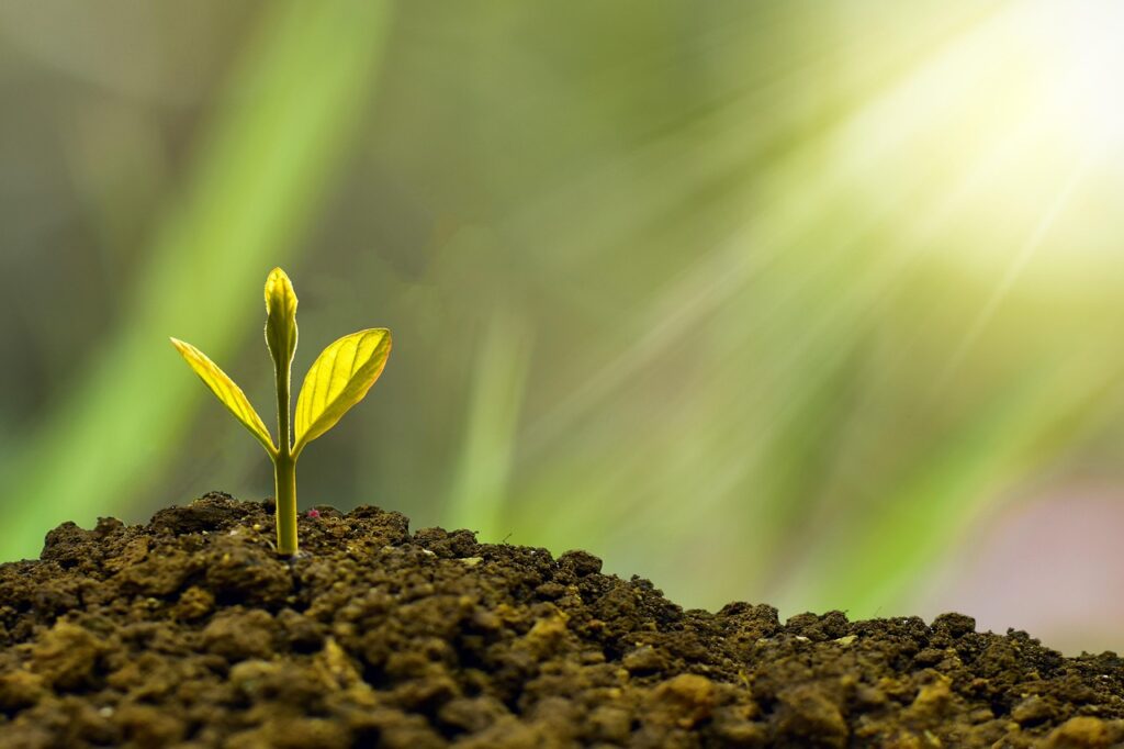 Communicating the Benefits: How Sustainability Enhances Productivity