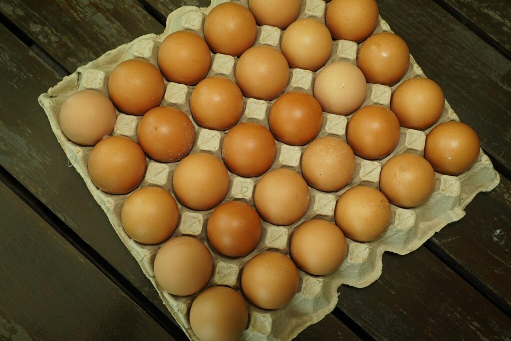 Sustainable Sourcing: Redefining Airline Catering Ingredients