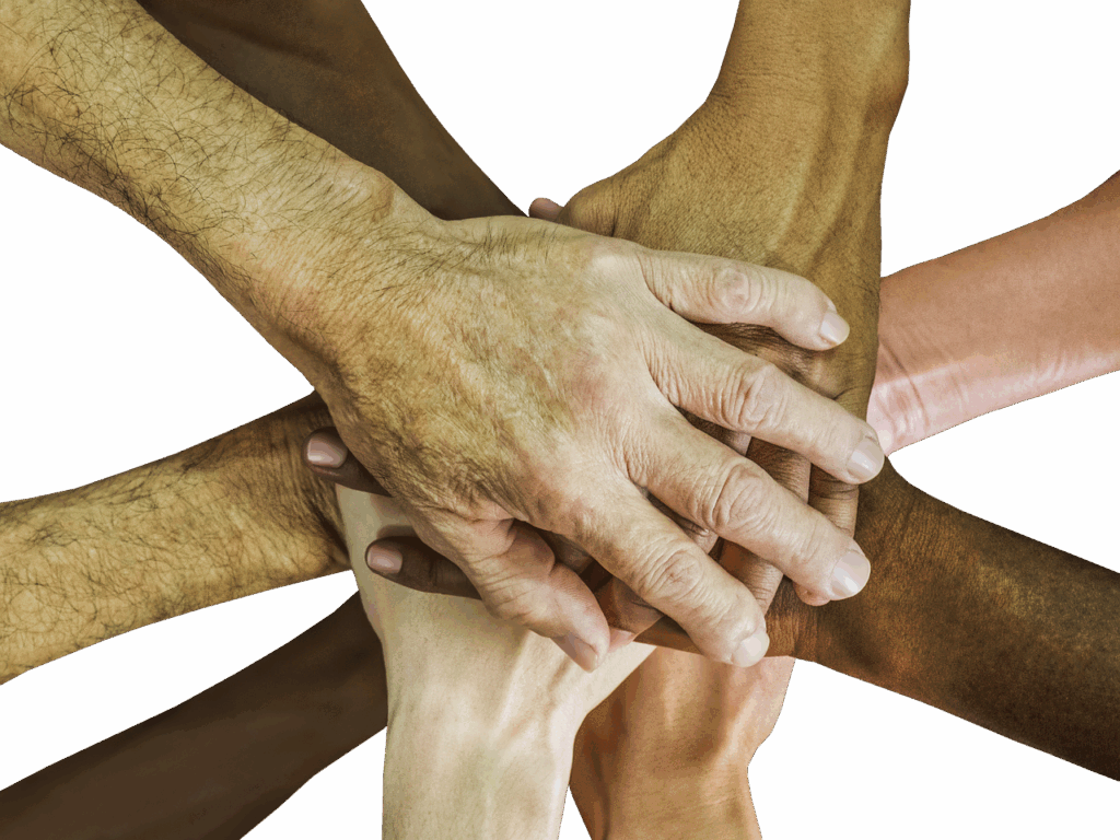 Collaborative Problem-Solving: Leveraging Team Strengths in Design Challenges