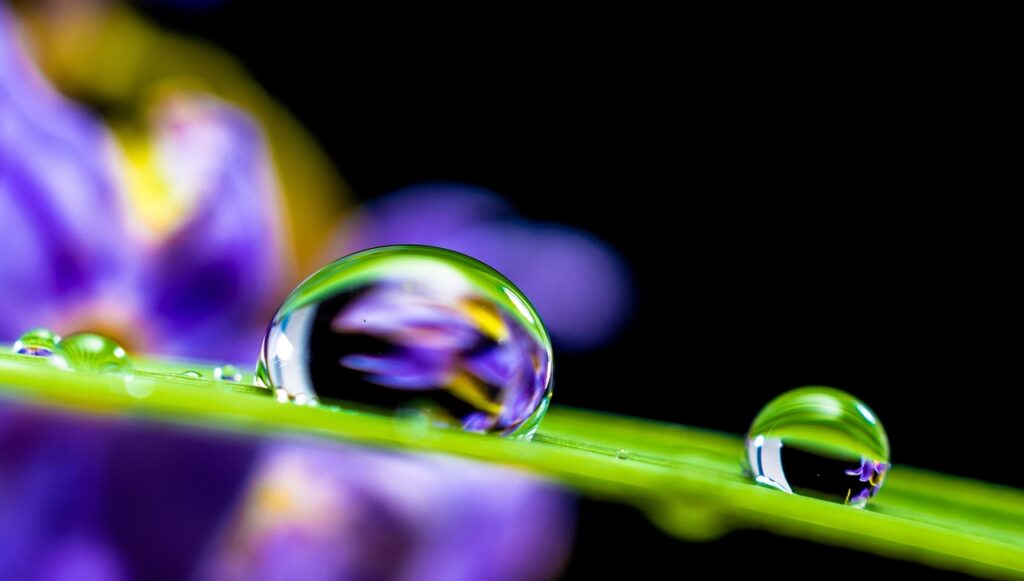 How to Balance Jargon and Clarity How to Balance Jargon and Clarity