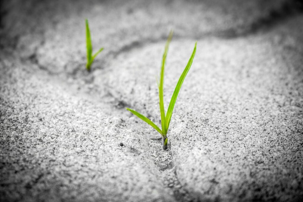 Fostering Resilience in a Changing Environment