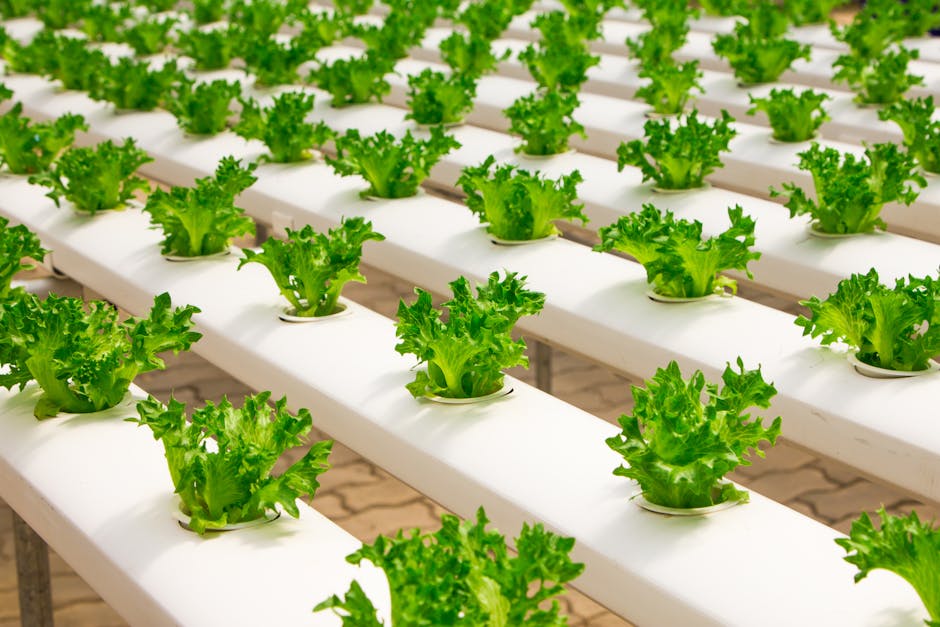 Overcoming Common Industry Challenges