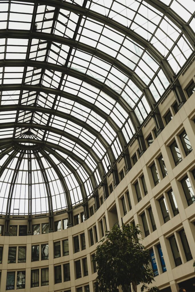 Building a Culture of Openness and Adaptability