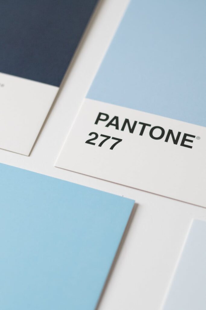 Best Practices for Finalizing Color Schemes in Branding