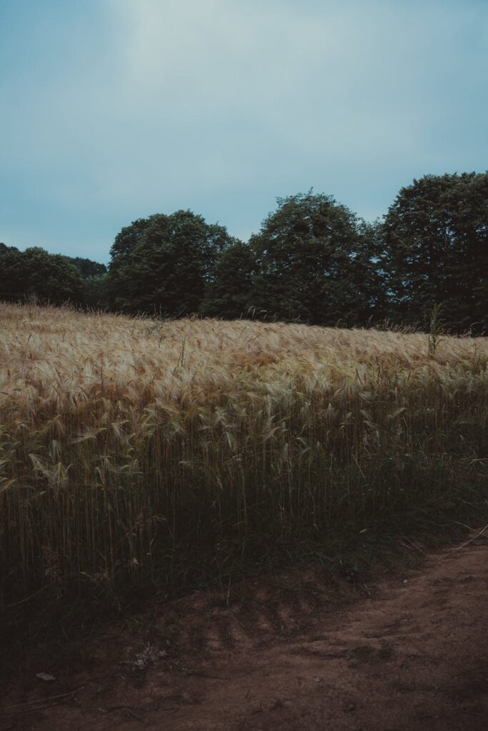 Cloud Computing: Opportunities in a Growing Field