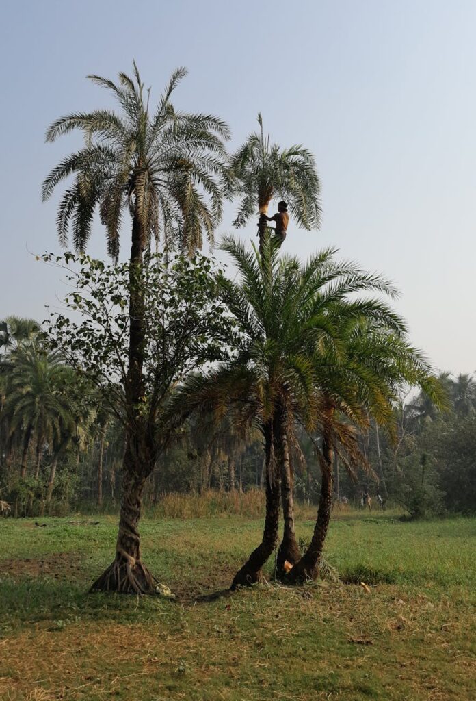 Best Practices for Sustainable Standards in Fast-Paced Environments