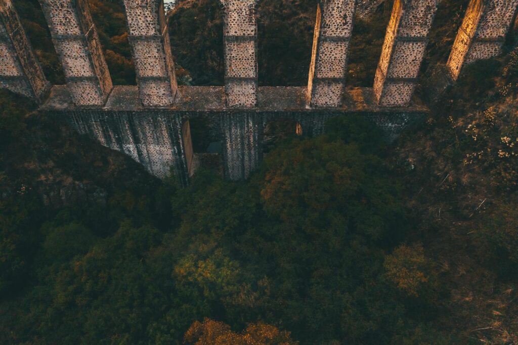 Bridging the Gap: Aligning CRM Strategies with Customer Needs