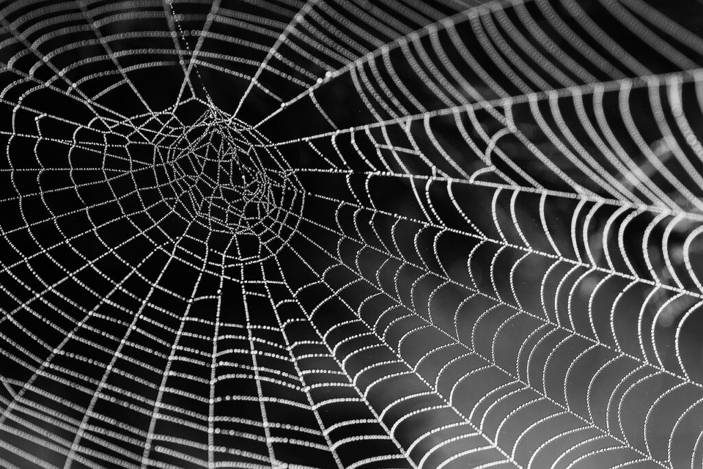 Accessibility Principles in Web Design Accessibility Principles in Web Design