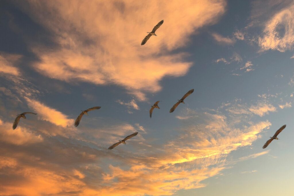 Hasty Generalizations About Cloud Migration Success Hasty Generalizations About Cloud Migration Success