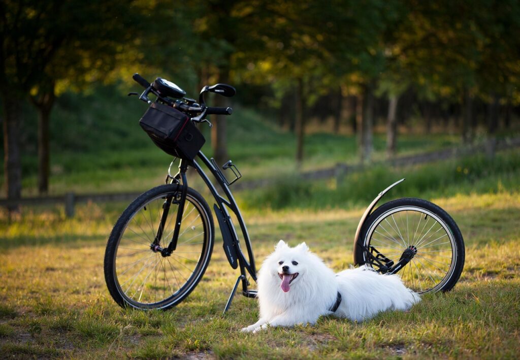 Ethical Considerations in Conflict Resolution