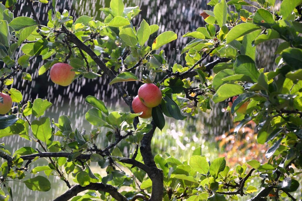Effective Irrigation Techniques for Disease Resistance Effective Irrigation Techniques for Disease Resistance