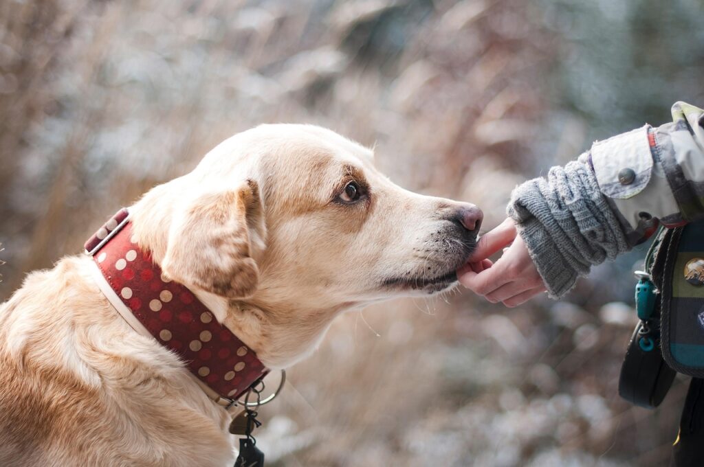 Building Trust: Establishing Relationships Between IT and Sales Teams