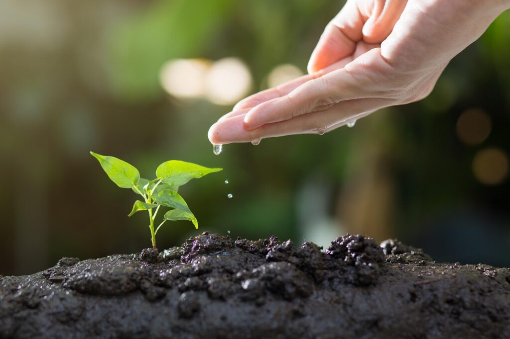 Nurturing Client Relationships